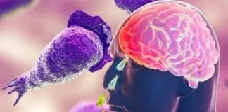 Captura De Tela 2024 07 29 190849