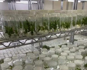 unnamed-300x244 BASF Promove Diálogo Sobre Sustentabilidade na Amazônia em Evento Pré-COP30