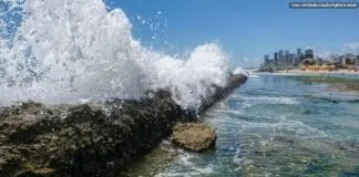 Captura De Tela 2024 08 01 113620