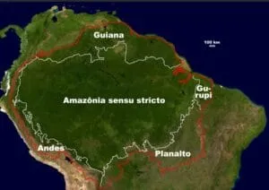 Captura-de-tela-2024-08-05-104241-300x212 Monitoramentos Identificam Culturas que Desmatam a Amazônia e a Localização