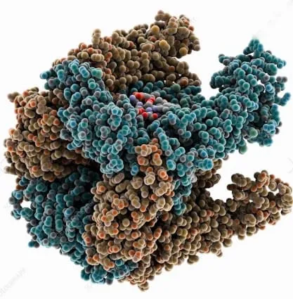 Captura de tela 2024 08 21 111125