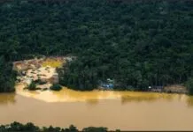 Brasil Precisa Reduzir Emissões em 92% até 2035 para Combater a Crise Climática Brasil