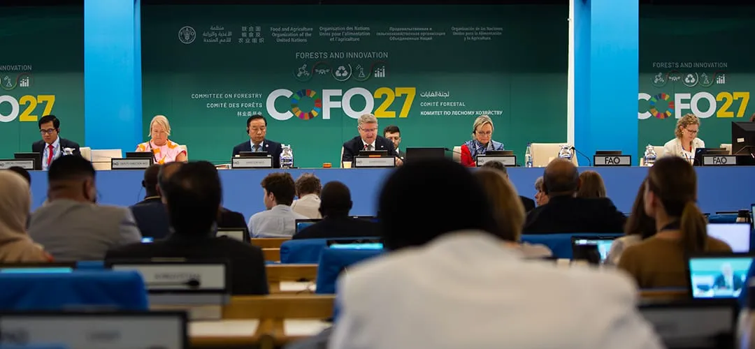 No-plenario-COFO27 27ª Sessão do Comitê Florestal da FAO - COFO 27