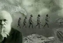 10 Surpreendentes Revelações Sobre Como 'A Evolução é Mais Rápida do que Darwin Imaginava' por Rosemary Grant