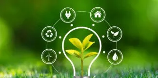 Sustentabilidade Ibs BioSistemico Org Br Jhlx3