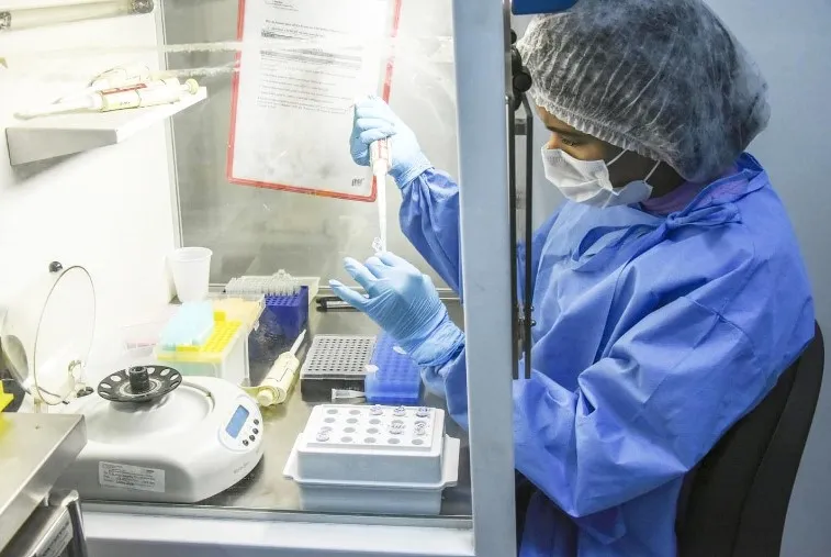 Fiocruz detecta ratos infectados por verme causador de meningite 1 Fiocruz