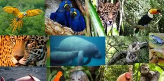 Captura De Tela 2024 09 06 102417