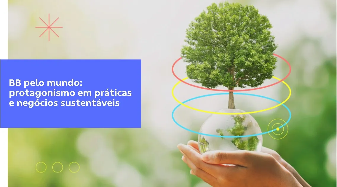 Captura-de-tela-2024-09-20-222818 Banco do Brasil ultrapassa R$ 15 bilhões em carteira de energias renováveis