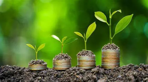 OIP-4 Banco do Brasil ultrapassa R$ 15 bilhões em carteira de energias renováveis