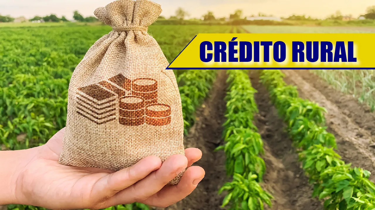 R Serasa da sustentabilidade , Banco Central vetou R$ 726 milhões em crédito rural em 2024