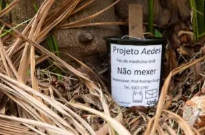 Captura-de-tela-2024-10-11-111147-300x198 Novas estratégias de controle da dengue e Aedes Aegypti excluem o fumacê