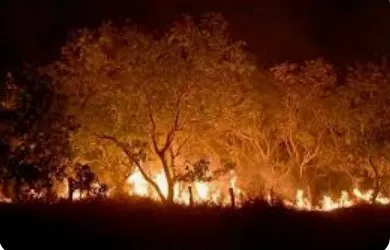 Captura-de-tela-2024-10-24-174705 Governo Lula destina R$ 938 milhões para enfrentar crise climática