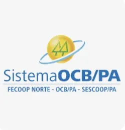 Captura-de-tela-2024-10-25-173616 Tecnologia chinesa fortalece cooperativas de agricultura familiar no Pará