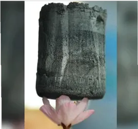 Figura-2-–-Aerogel-de-Grafeno CARBONO