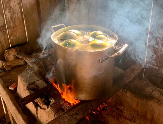 foto5 A Tradição das Cuias na Amazônia: Cultura, História e Resistência