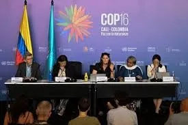 images-1 Brasil e Colômbia lançam programa Quilombo das Américas na COP 16