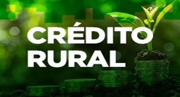 133453039697417299 Inovação no Crédito e Assistência Técnica Impulsiona Sustentabilidade na Amazônia