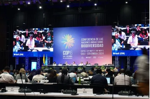 COP sem fim: Falta de consenso em financiamento deixa conferência da biodiversidade sem conclusão 3 biodiversidade