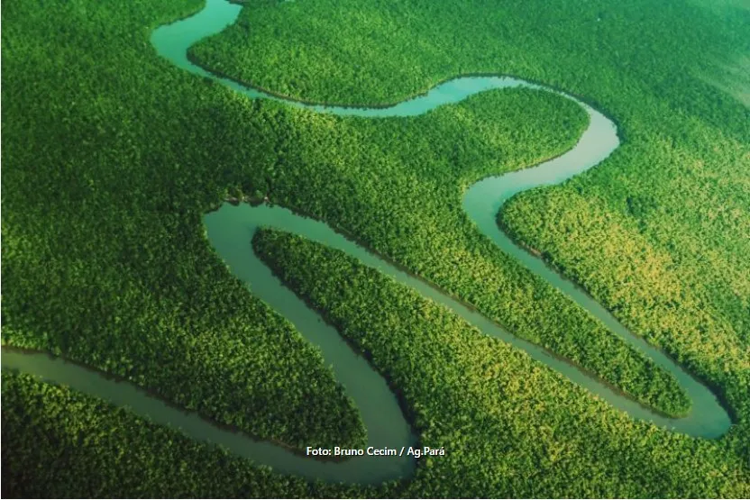 Captura-de-tela-2024-11-04-171013 Seirdh abre inscrições para o Congresso Internacional sobre Direitos Humanos na Amazônia