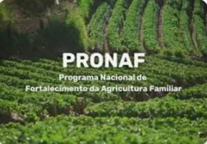 Captura-de-tela-2024-11-06-163037-300x208 Novo guia orienta agricultores familiares sobre acesso ao crédito rural pelo Pronaf