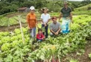 Captura-de-tela-2024-11-06-165025 Novo guia orienta agricultores familiares sobre acesso ao crédito rural pelo Pronaf