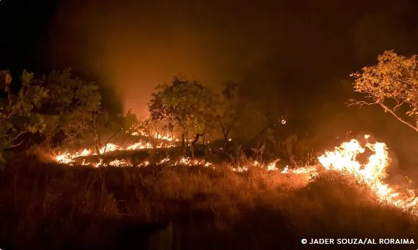 Captura-de-tela-2024-11-08-192902 Brasil reduz em 12% emissões de gases do efeito estufa em 2023
