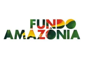 Logo_flor-300x212 Noruega doa US$ 60 milhões ao Fundo Amazônia por progresso no combate ao desmatamento