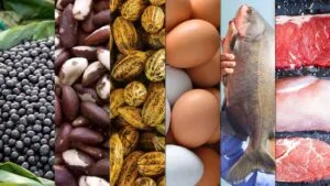 cq5dam.web_.1280.1280-1-300x169 Exporta Mais Amazônia: empresas amazônicas movimentam mais de R$ 35 milhões em negócios durante programa da ApexBrasil no Pará