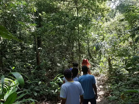 visitas-monitoradas Parques Estaduais do Pará São Opções de Lazer no Feriado da Proclamação da República