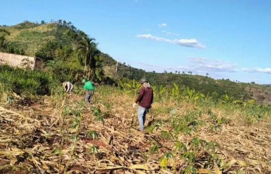Screenshot-2024-12-05-171934 Agroecologia: Uma alternativa sustentável para a agricultura familiar e o meio ambiente