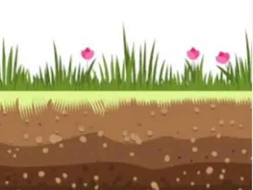 Screenshot-2024-12-16-121450 Uso inteligente do solo é essencial para mitigar as mudanças climáticas, afirma especialista