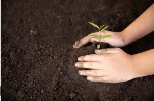 Screenshot-2024-12-16-121727-300x197 Uso inteligente do solo é essencial para mitigar as mudanças climáticas, afirma especialista