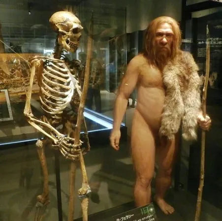 Screenshot-2024-12-19-124300 O Desaparecimento dos Neandertais: O que a história dos nossos ancestrais revela sobre a humanidade