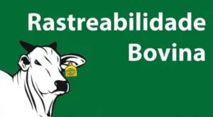 Screenshot-2024-12-23-184146-300x165 O Cadastro Positivo do Agro e o Futuro da Sustentabilidade no Setor Rural