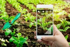 Screenshot-2024-12-23-235731-300x200 Oportunidades do Mercosul-União Europeia para o Agronegócio Sustentável Brasileiro