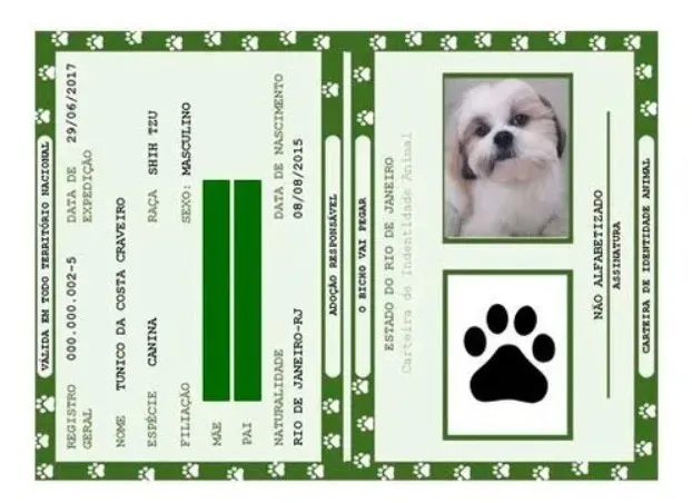 Animais domésticos terão direito a RG com cadastro nacional 5 animais