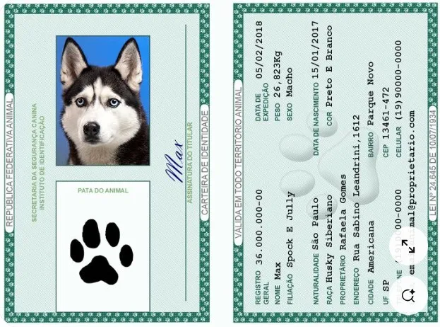 Screenshot-2024-12-26-231244 Animais domésticos terão direito a RG com cadastro nacional