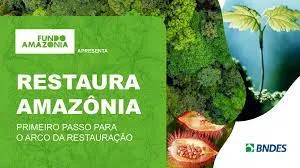 images MMA e BNDES lançam os primeiros editais para restauração da Amazônia