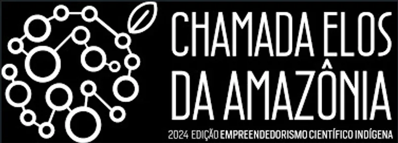 ok-Screenshot-2024-12-18-132718 Edital Elos da Amazônia estimula o protagonismo indígena no empreendedorismo e inovação tecnológica