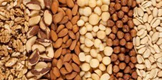 Cultivo de Oleaginosas Amazônicas