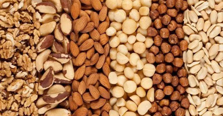 Cultivo de Oleaginosas Amazônicas