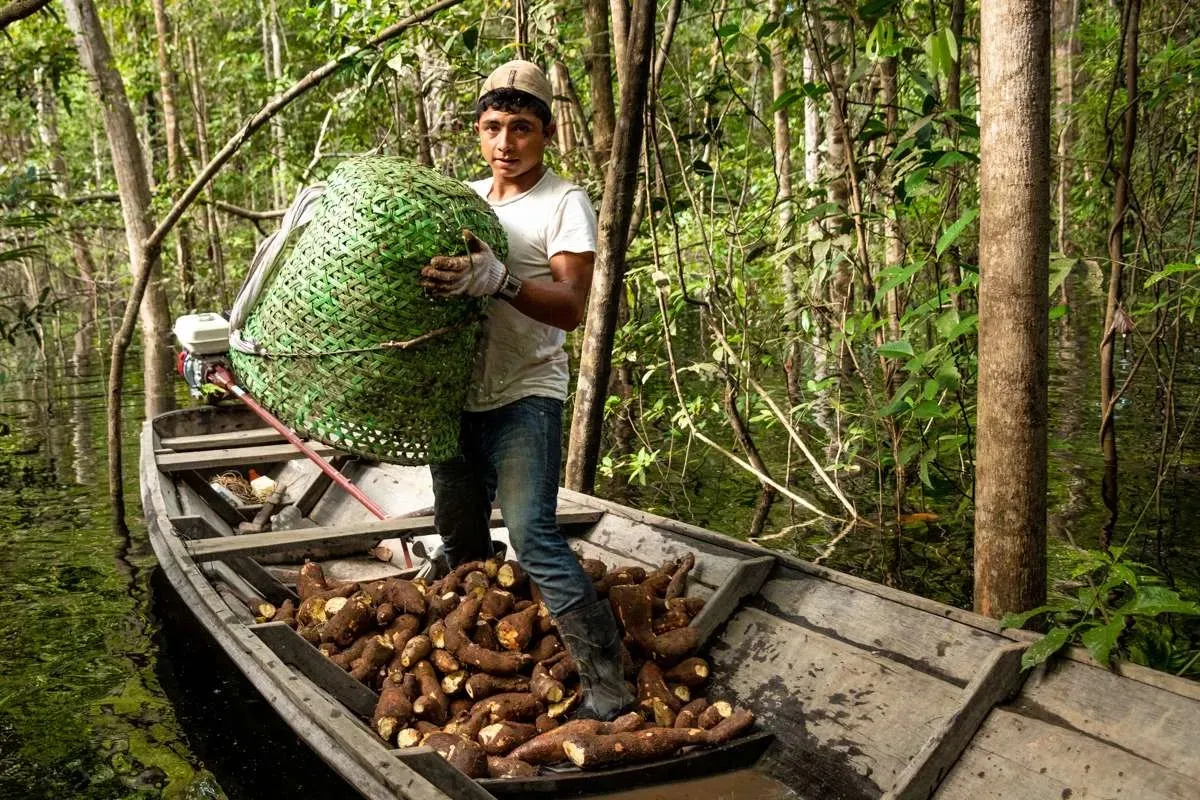 49188445603_e58da0cb06_o-1-1 Governo Federal inicia preparativos para a Comissão Nacional de Bioeconomia