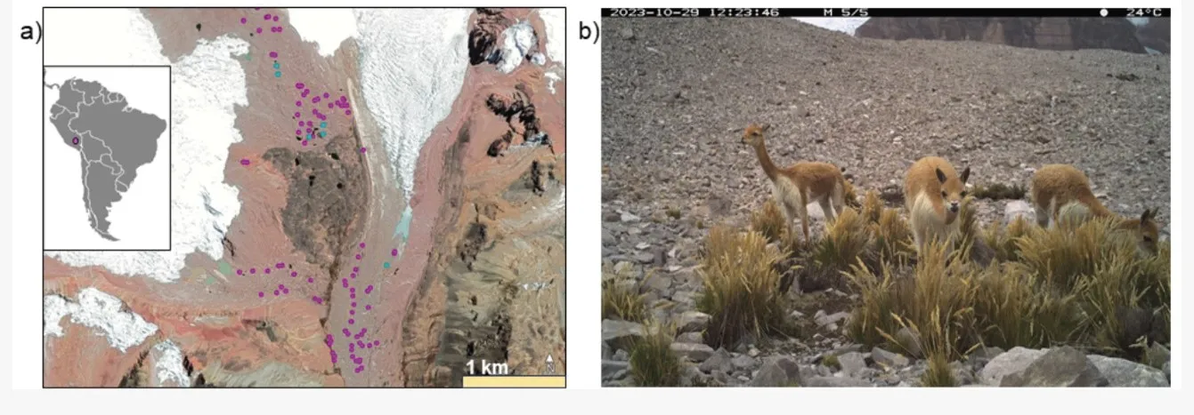 6c00681e-dfce-4730-8f8c-088af8854273 Fertilizante da Natureza