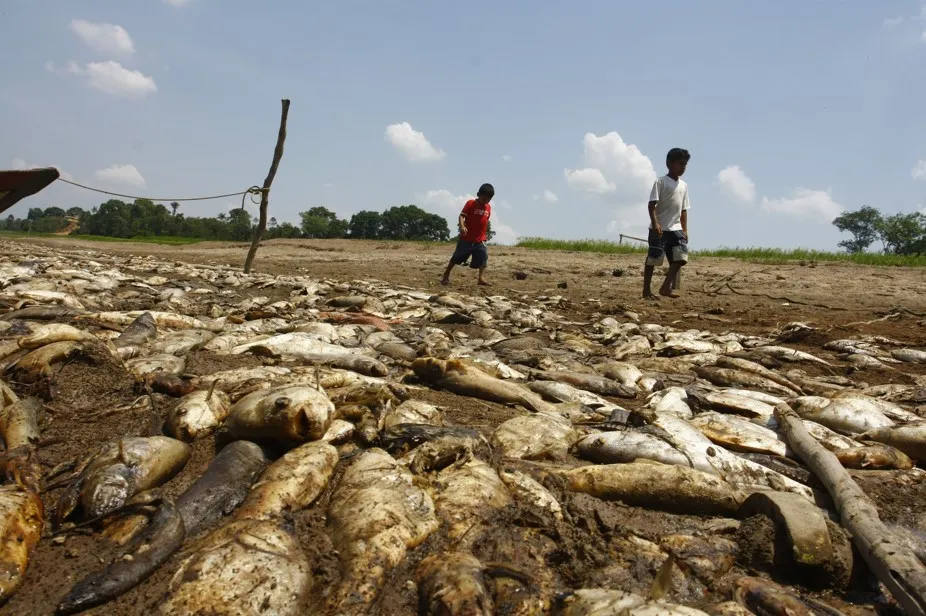 Screenshot-2025-01-06-183911 Impactos drásticos se a maior parte do planeta se transformar em deserto