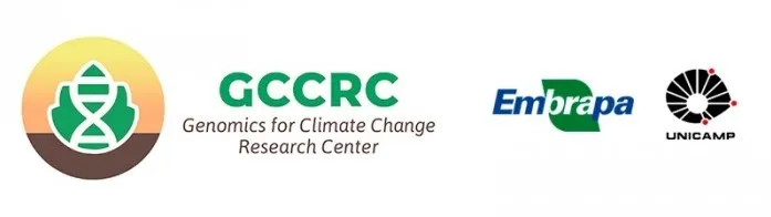 Screenshot-2025-01-13-171515 Método inovador utiliza drone e câmera econômica para identificar plantas tolerantes à seca