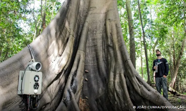 Screenshot-2025-01-13-193456 Tecnologia inova no monitoramento da biodiversidade e clima da Amazônia
