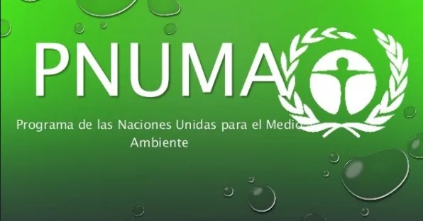 Screenshot-2025-01-16-153332 1% dos mais ricos consomem toda a cota anual de emissões em apenas 10 dias