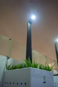 Screenshot-2025-01-17-195730-200x300 Jovem peruano revoluciona geração de energia com plantas