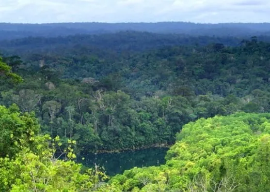 Screenshot-2025-01-20-171212 Estado do Amapá credenciado a maior potencial de riqueza no Brasil