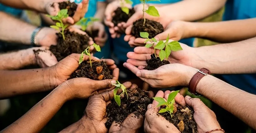 Screenshot-2025-01-21-111952 Transformando crise climática em oportunidades